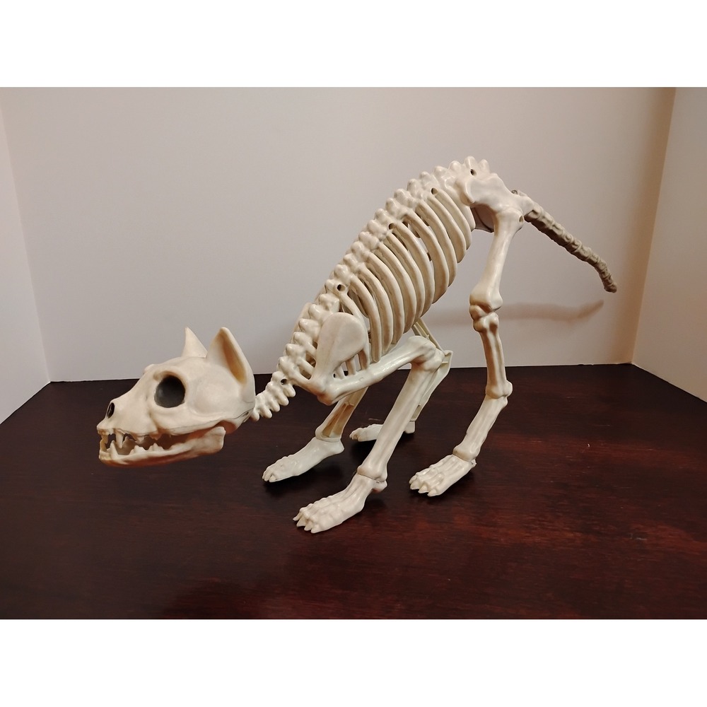 Halloween Cat Skeleton Prop Poseable Plastic Feline Bone Decor 21 Inch